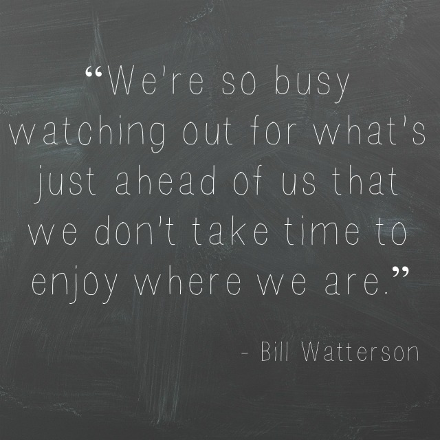 Bill Watterson quote