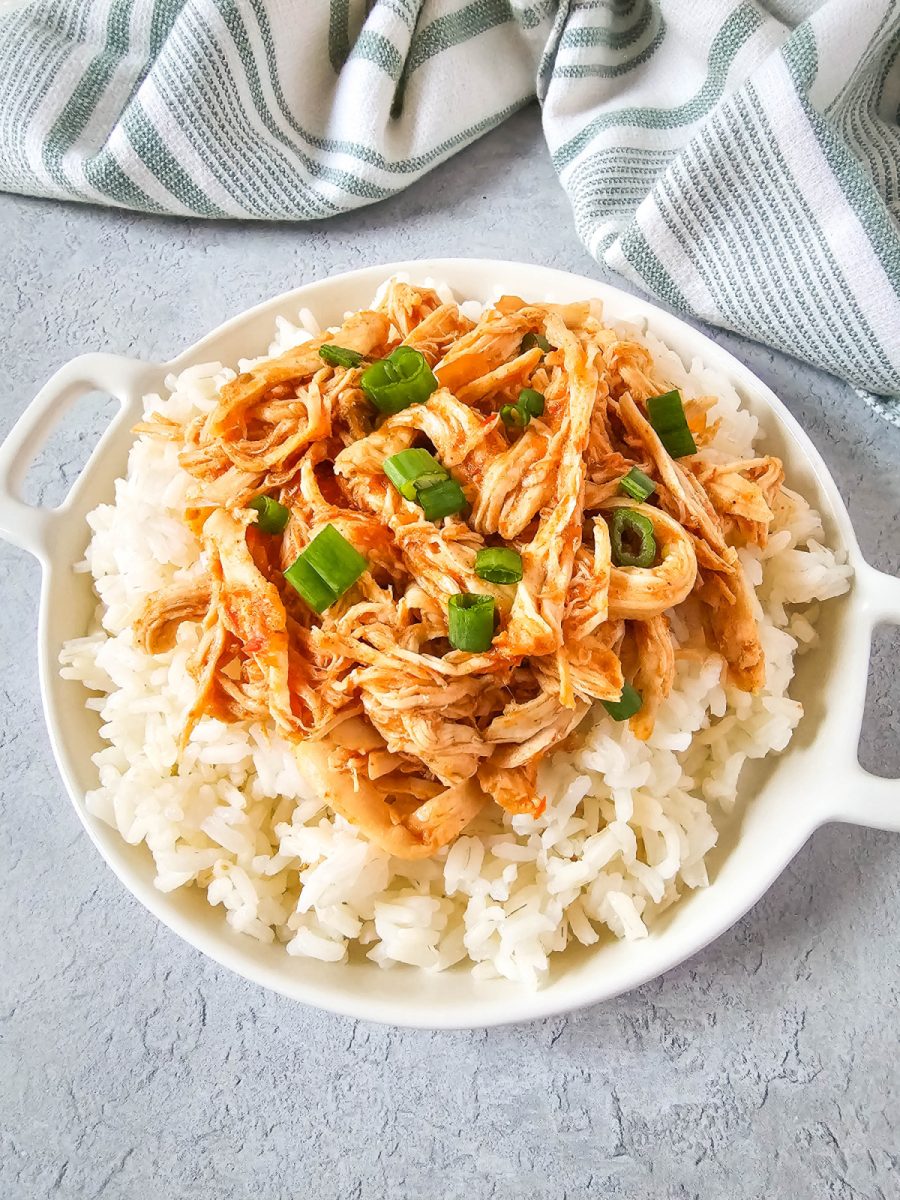 plate with rice topped with chicken taco meat