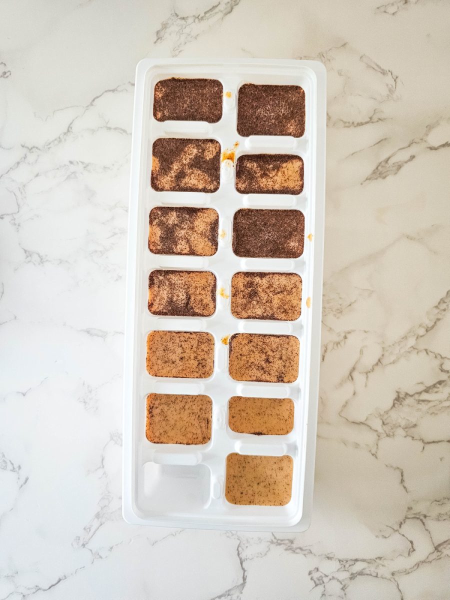 pumpkin mixture in ice cube tray