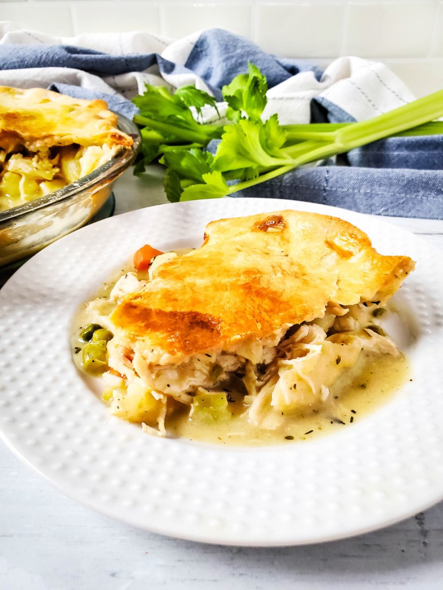 view of chicken pot pie on white plate