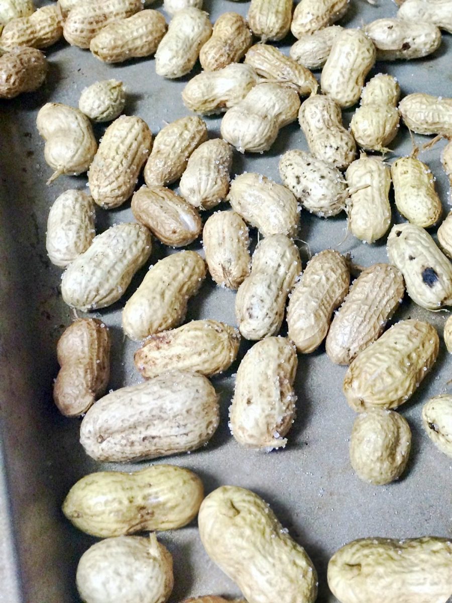 raw peanuts salted on baking sheet