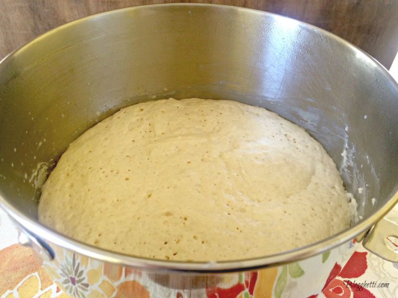 First Rise of bread dough in bowl