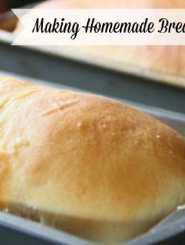 Making Homemade Bread: A Lost Art