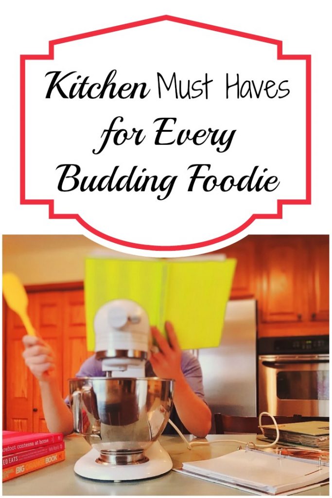 Any self-proclaimed foodie needs certain things in their kitchen. The right gadgets mean you can make the dishes that you want to make more quickly and more easily. So it really is a no-brainer to have a well-stocked kitchen in order to make the dishes of your dreams. Here are some essentials that any food lover or budding chef needs to have in the house.