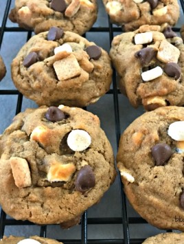 All of the delicious flavors of s'mores packed into these soft and chewy cookies. Tiny marshmallows, graham crackers, and chocolate chips fill these S'mores Cookies and no campfire needed!