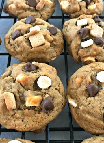 All of the delicious flavors of s'mores packed into these soft and chewy cookies. Tiny marshmallows, graham crackers, and chocolate chips fill these S'mores Cookies and no campfire needed!