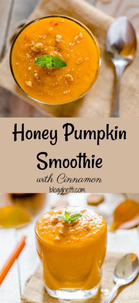 This delicious Honey Pumpkin Smoothie with Cinnamon is loaded with all the spices of the Fall season. It's like a slice of pumpkin pie in a glass with none of the guilt!