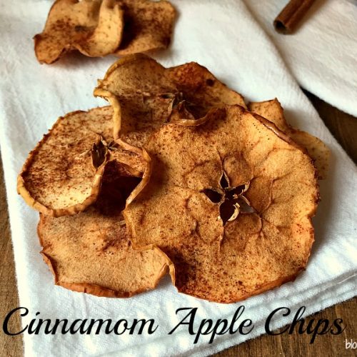 https://blogghetti.com/wp-content/uploads/2017/12/Homemade-Cinnamon-Apple-Chips-500x500.jpg