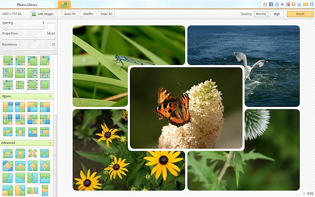 9 Budget-Friendly Photo Editing Sites for Bloggers
