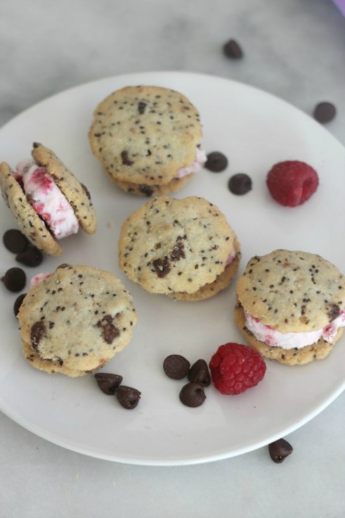 frozen-yogurt-chia-sandwiches