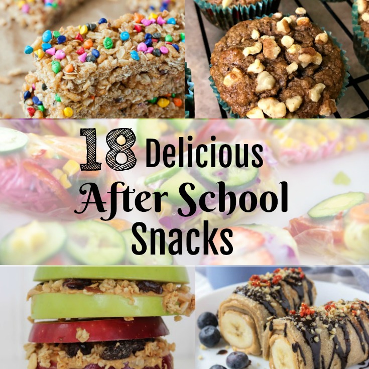 Back to School 18 Delicious After School Snacks