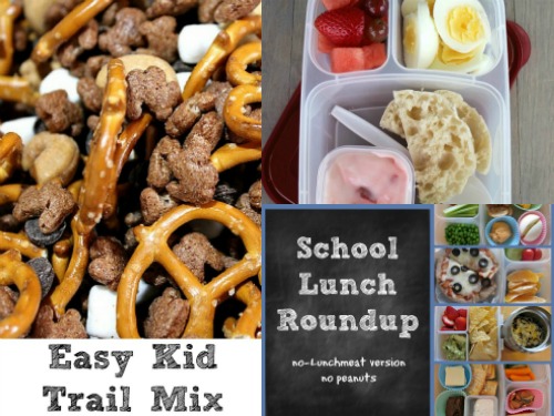 15 Easy and Healthy School Lunch Ideas