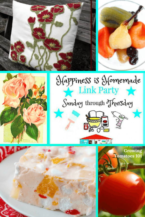 It’s time for Happiness is Homemade Link Party and we’re so glad you’re joining us! We’ve got the best recipes, DIY projects, crafts, home decor ideas, and so much more. Let’s get on with the party with this month’s hostess, Audrey.