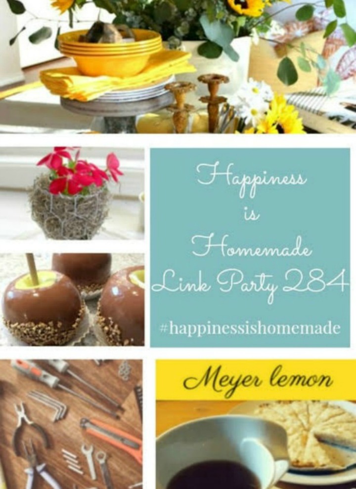 Sunflowers, Lemons, and Faux Caramel Apples on Happiness is Homemade