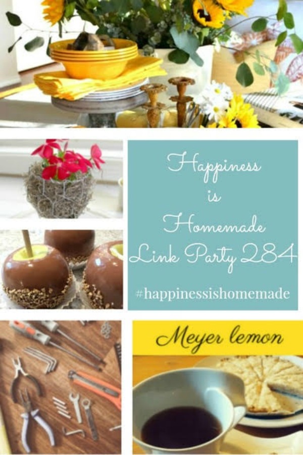 Happiness is Homemade Link party featured collage