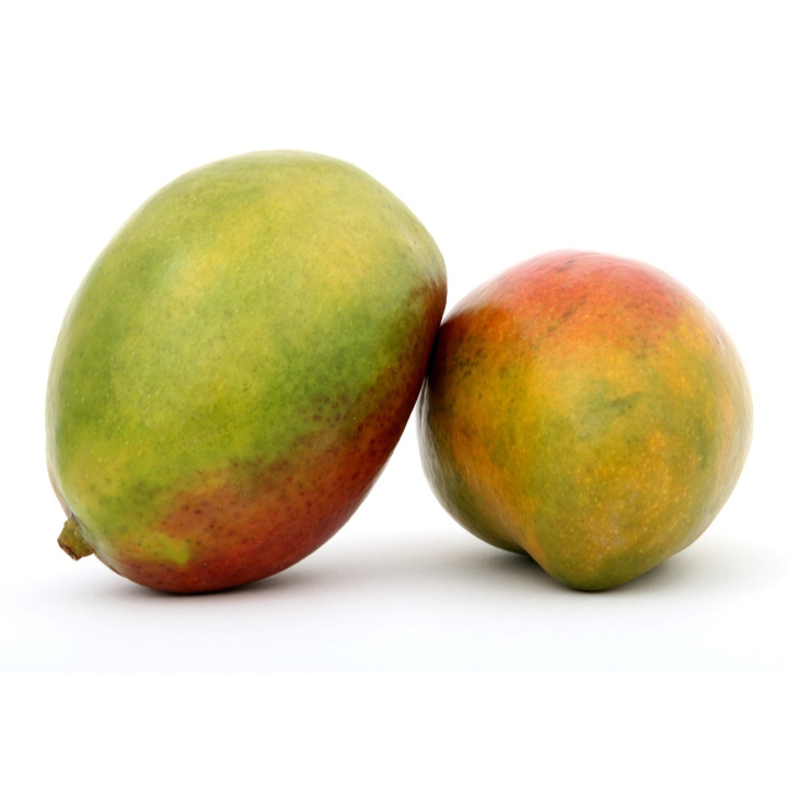 two mangoes side by side