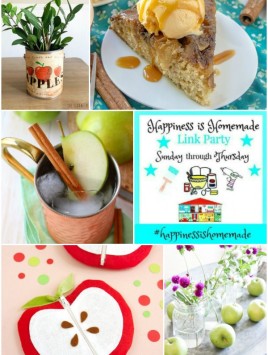 Happiness is Homemade Link Party Features Collage for September 15