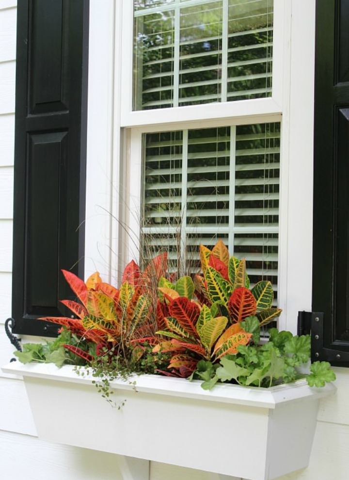 how to plant a fall window box