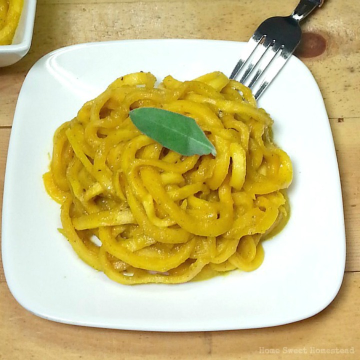 Butternut Squash Noodles with Pumpkin Sauce