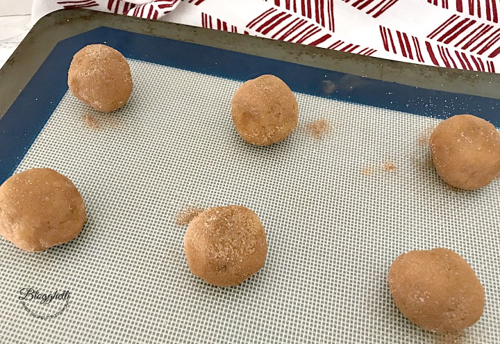 cinnamon pecan snickerdoodle dough balls rolled in cinnamon sugar