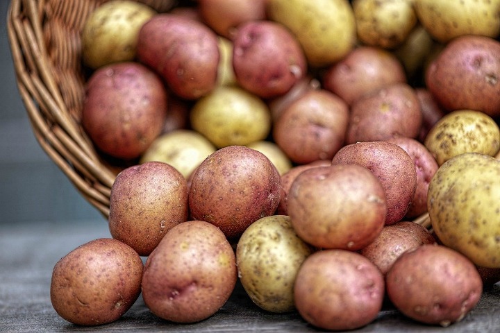basket of small potatoes