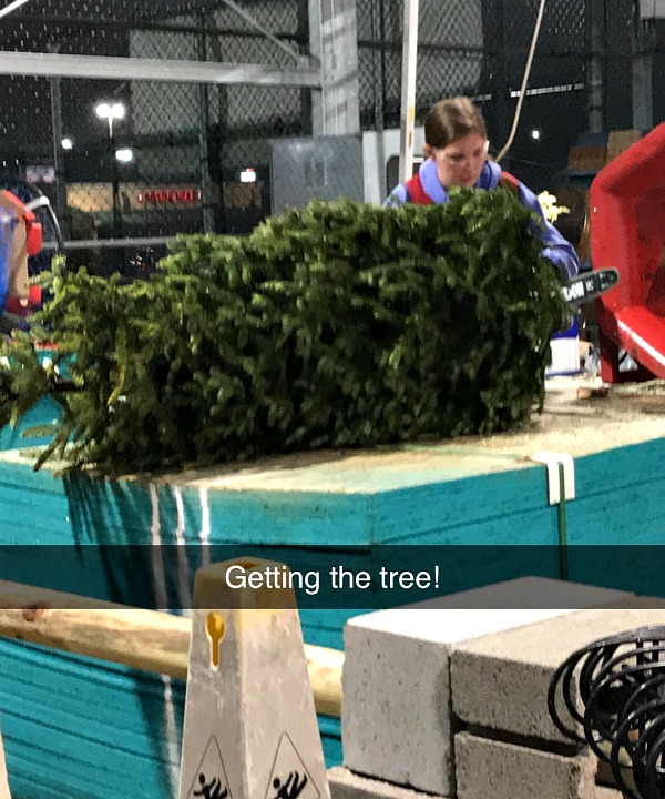 getting the tree at Lowes