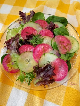 Cucumber, Purple Daikon Radish with spring greens salad with homemade dill dressing