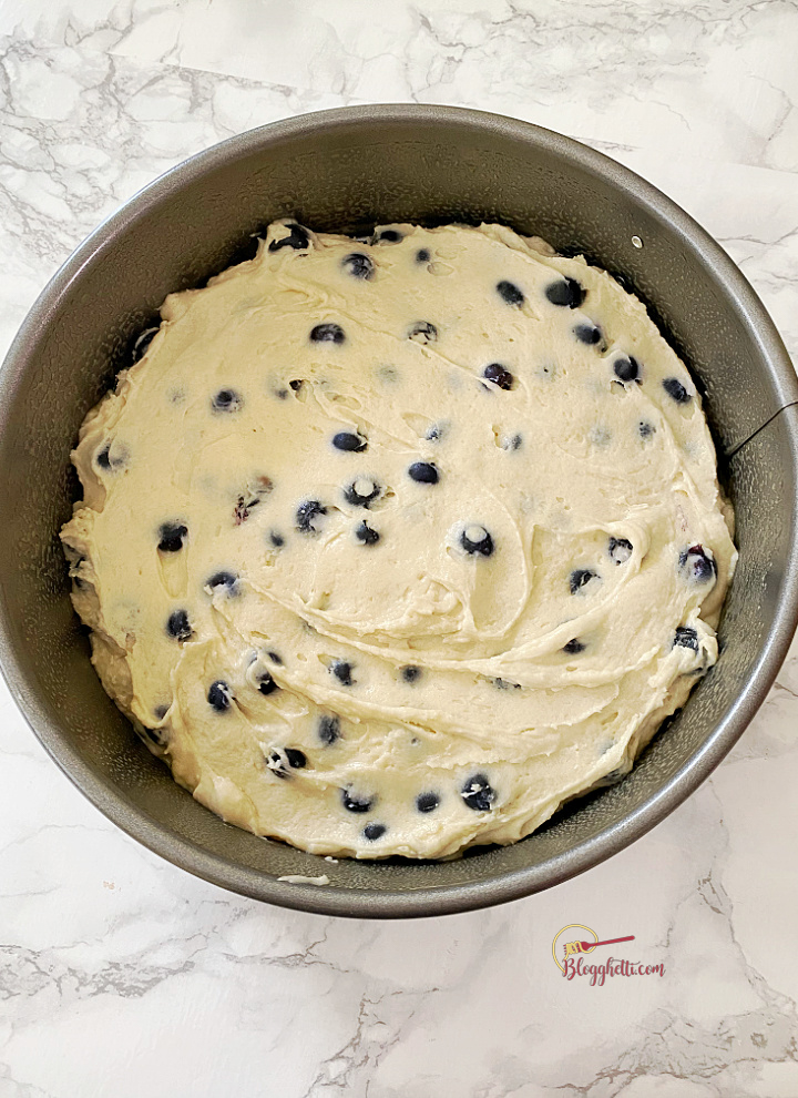 blueberry muffin cake batter in Circulon springform pan