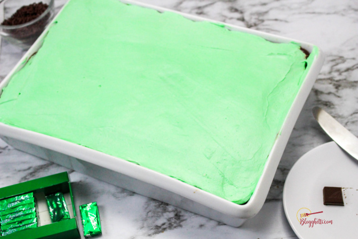 frosted grasshopper cake with mint icing