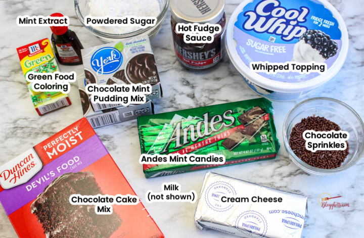 ingredients image for Mint chocolate poke cake