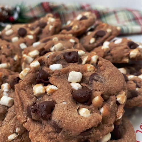 Hot Chocolate Cookies   Chocolate Cookies With Cocoa And Marshmallows 500x500 