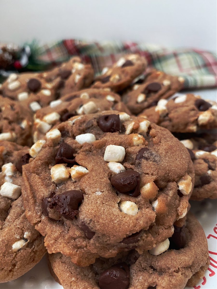 chocolate cookies with cocoa and marshmallows