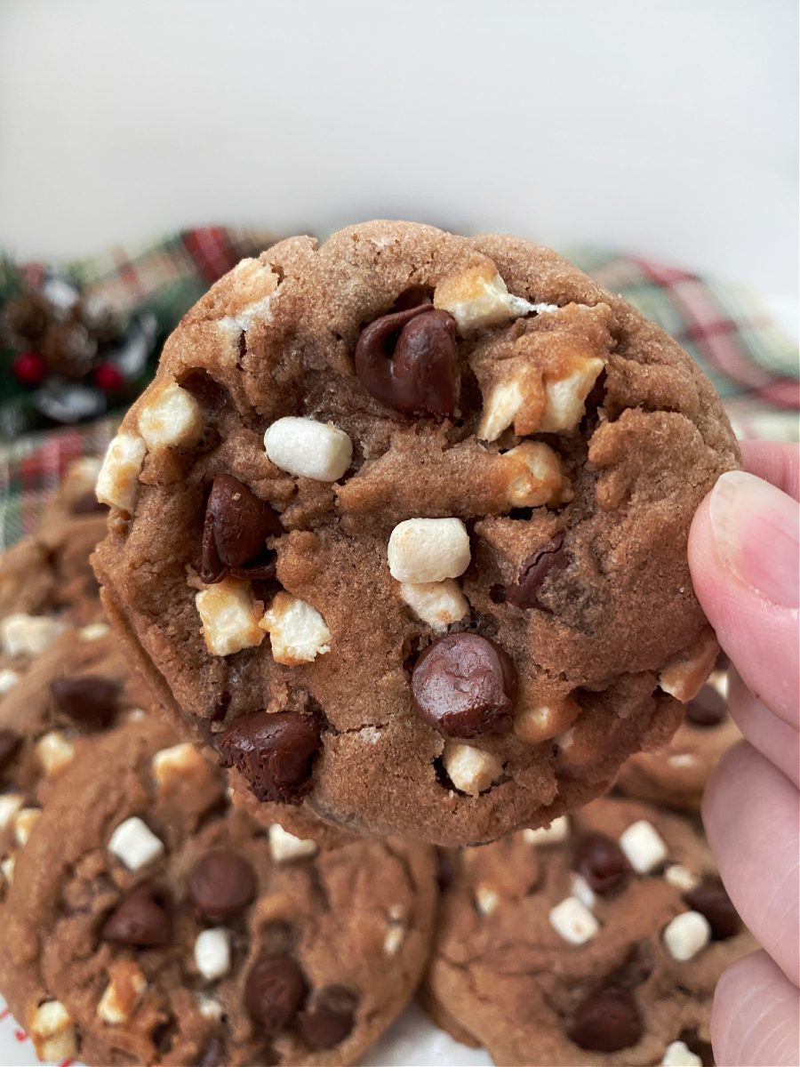 close up of hot chocolate cookie with marshmallow bits