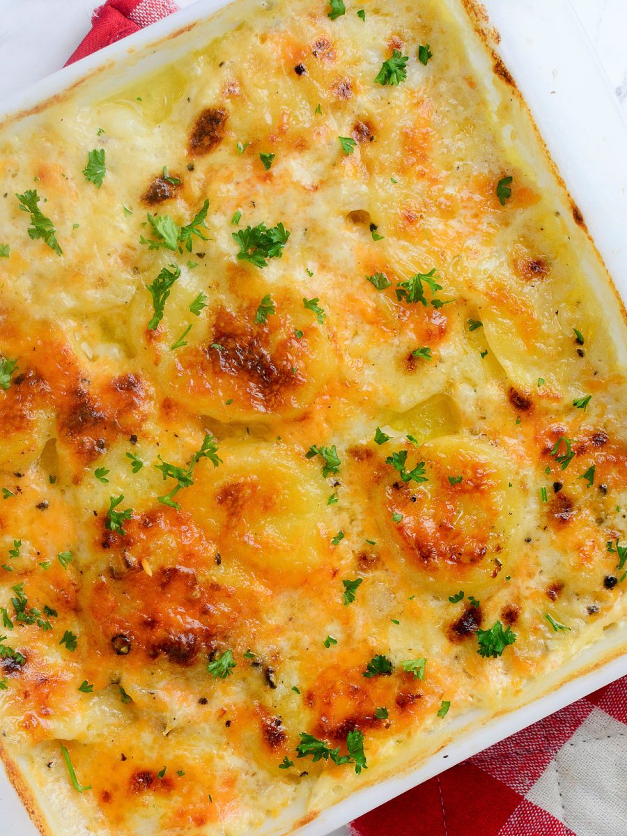 close up of scalloped potatoes with parsley as garnish