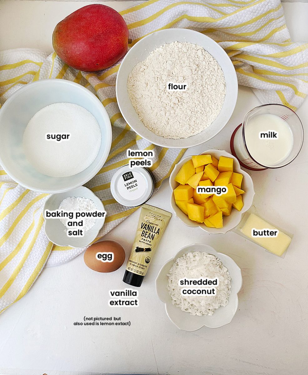 ingredients for mango coconut cake