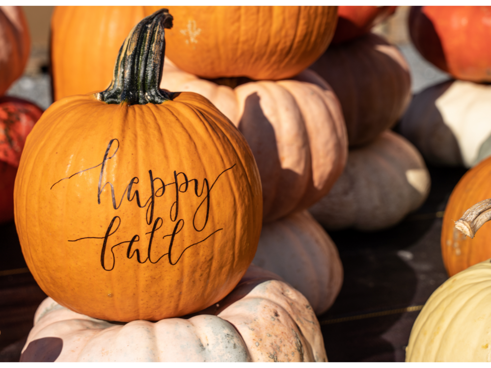 happy fall image with pumpkin