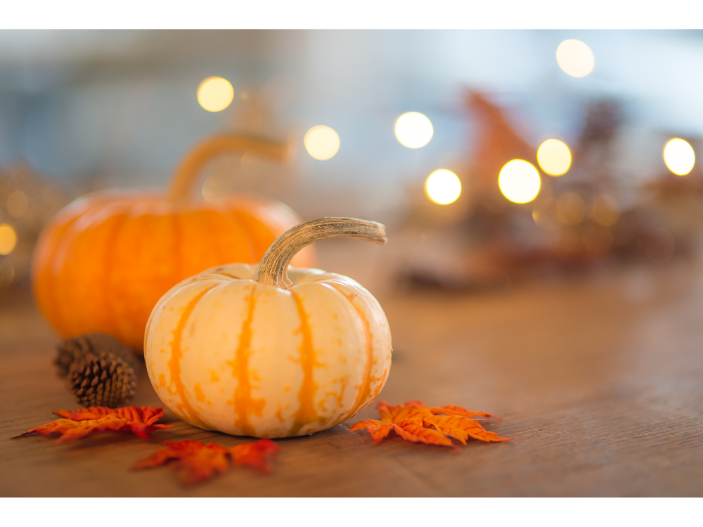 pumpkins with a fall background