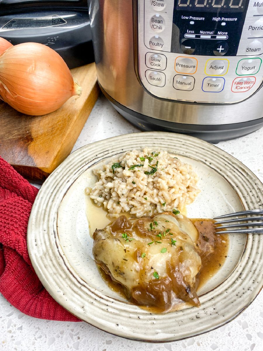 rice and chicken on plate with instant pot in background