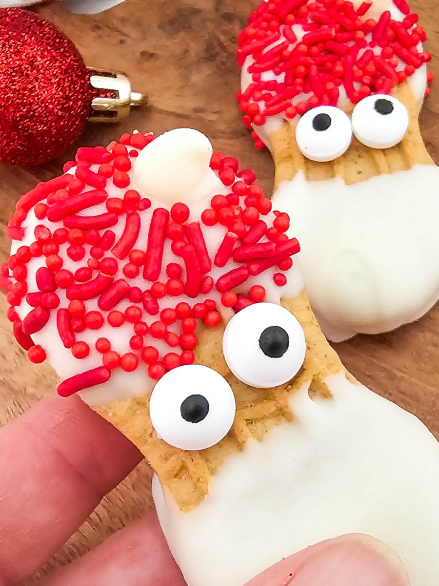 santa cookie close up