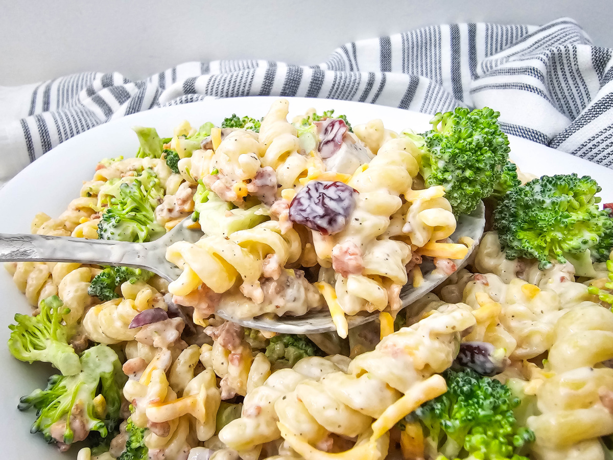 A silver spoon lifts a serving of creamy broccoli pasta salad, showing rotini pasta, vibrant green broccoli florets, shredded cheese, and dark red cranberries.