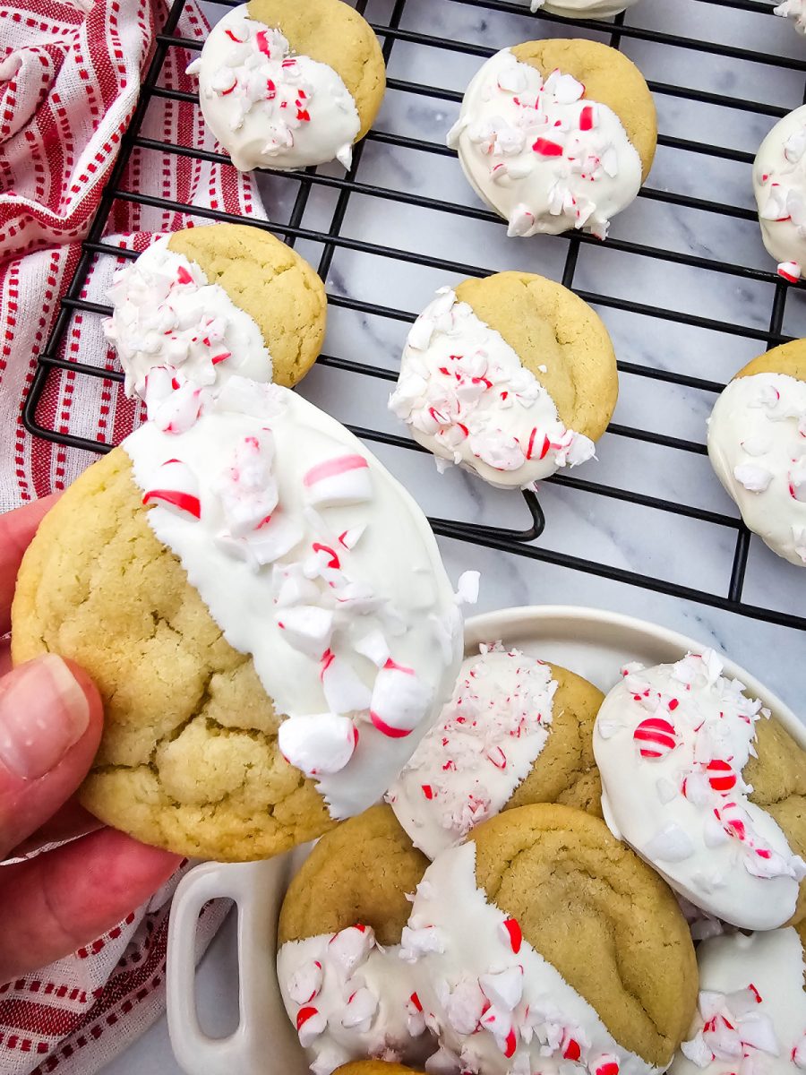 A hand holding up one of the freshly dipped holiday cookies, highlighting the size and the coating of white chocolate and peppermint crunch.