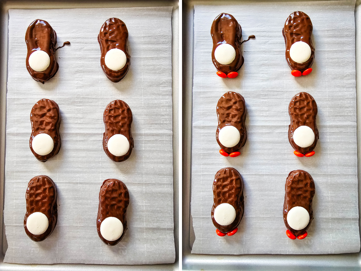 A split image on a baking sheet: the left side shows chocolate-dipped cookies with white candy melt bellies, and the right side shows the addition of orange M&M feet below the belly patch.