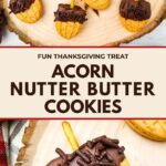 Two-photo collage showing a group of chocolate-dipped acorn cookies and a close-up of one cookie with a pretzel stem. Text reads “Fun Thanksgiving Treat, Acorn Nutter Butter Cookies.”